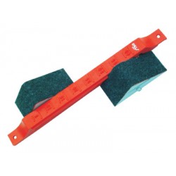 STAG Starting Block School Model